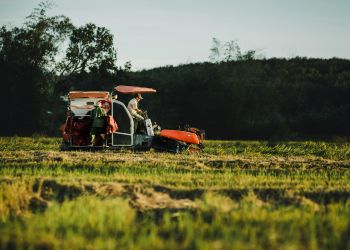 Seguro para agronegócios